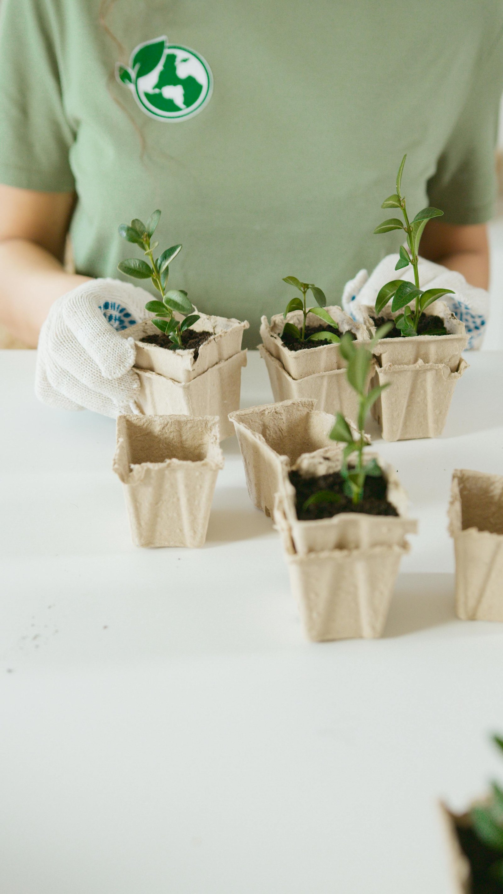 Serviços de Jardinagem: Quando Vale a Pena Contratar um Profissional?